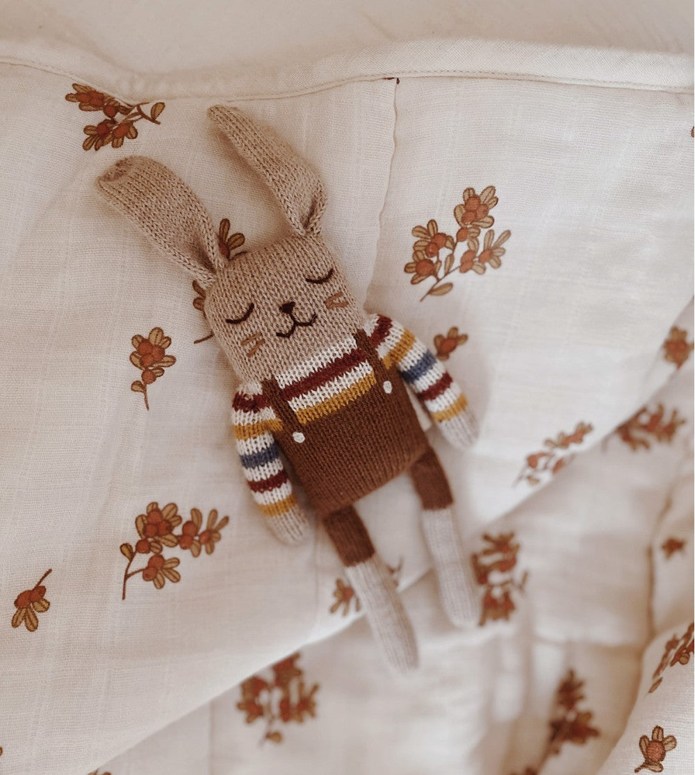 Bobo the Bunny